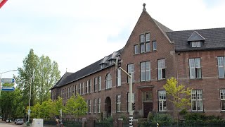 Uw Tuin Hoveniers - Massaplantdag bij gezamenlijke stadstuinen van Cum Laude in Nijmegen