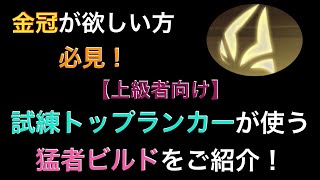 【ドーントレス】使いこなせば金冠ゲットも夢じゃない！試練トップランカーの方々が使っている猛者ビルドをご紹介！