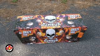 Dum Bum Crazy Fan : Klasek Pyrotechnics : 135 Shots : 20mm : 900 Gram