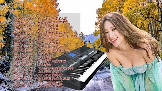 【非常好听】👍👍 20首 电子琴伴奏DJ舞曲，3D環繞立體聲，车载必备音乐电子琴 《爱拼才会赢》《恰似你的温柔》《梁祝》《人间第一情》《走天涯》《一剪梅》《乌苏里船歌》懷舊金曲，再憶經典，車載音樂