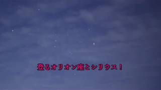 登るオリオン座とシリウス！