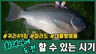 🐟영등철, 대물 벵에돔🐟 [귀리 49회] | 피싱TV