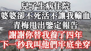 兒子生病住院，婆婆卻不死活不讓我輸血，青梅甩出鑒定報告，謝謝你替我養了四年，下一秒我叫他們牢底坐穿