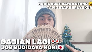 DK JAPAN eps.. GAJI KE-2 KERJA DI JEPANG 🇯🇵 || JOB BUDIDAYA NORI