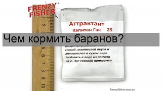 Чем кормить баранов?