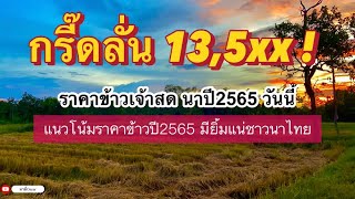 #ราคาข้าววันนี้ ลั่นอีกฉุดไม่อยู่แล้ว #ข้าวนาปี #ปี2565 #ข้าวดอ #ราคาข้าวเปลือก #ข้าวเจ้า #ชาวนา