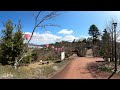 【360°動画】舞鶴市桜スポット定点観測 3 2 2024 03 27 中舞鶴 共楽公園【4k画質推奨】