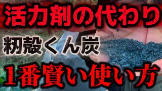 【籾殻くん炭】この世で一番賢い使い方を教えます。実は活力剤の代わりにもなる最強の土壌改良材の正しい使い方