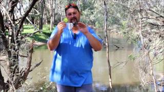 How to catch Murray cod on a buzzbait
