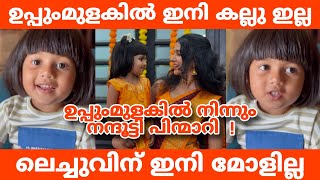 ഉപ്പുംമുളകിൽ നിന്നും പിന്മാറി കല്ലു 💔 |ലെച്ചുവിന് ഇനി മോളില്ല | Uppum Mulakum 3 Kallu | Nandhootty