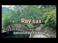 王傑~安妮 am ~薩克斯風次中音點歌集603 ray sax