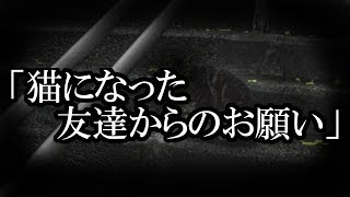 ※オカルト・動物系※【本当にあった怖い話６５４】「猫になった友達のお願い」２ちゃん 洒落にならないほど怖い話を集めてみない？