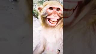 Samil is a monkey 😂🤣#funny #comedy #shortvideo #monkey