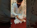 Rabbite New Born || Beauty😊 Say MashAllah | Shoaib Jhelum tv !!#short#Viral