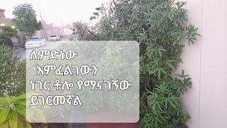 ሰላም ቤተሰቦቼ ለምድነው የምንፈልገውን ነገር ቶሎ የማናገኝው እኔ እደሚመስለኝ ሙጭጭ ስለምንል ይመሰለኛል የምፈልጉት ነገር የማናገኘው