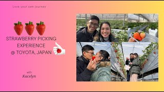 Strawberry picking at Toyota, Japan | January 2024