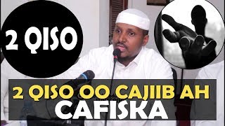 2 QISO OO CAJIIB AH CAFISKA IYO WAXA LAGA DHAXLO  || Sh Maxamud Markoni