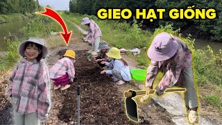 Bé Hạt Tiêu cùng các anh chị đi gieo hạt giống và cuộc tranh luận của mấy chị em