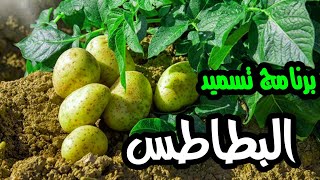 برنامج تسميد #البطاطس