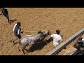 திண்டுக்கல் கொசவபட்டி ஜல்லிக்கட்டு 2025 dindigul kosavapatti jallikattu videos 3