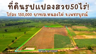 ขายที่ดินรูปแปลงสวย 50 ไร่ อ.หนองไผ่ จ.เพชรบูรณ์/โทร.094-282-6264