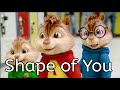 Ed Sheeran - Shape of You - Chipmunk