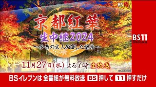 【生放送】京都紅葉生中継2024　11月27日（水）よる7時（BS11）