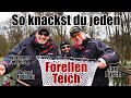 So knackst du jeden Forellenteich! Forellenangeln am Forellensee mit Waldemar Merdian & Jan Pusch