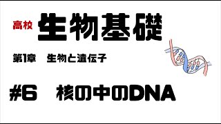 【生物基礎】#6 核の中のDNA