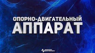 Боль в опорно-двигательном аппарате