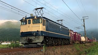 JR貨物　四国巡礼の旅から関西へ帰るクリームプレートPF！　EF65-2101号機　クリームプレートPF　72レ 【山陽本線　三石～上郡間】