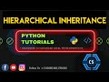 #49 Introduction To OOP | Hierarchical Inheritance In Python | Python Programming For Beginners |
