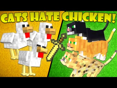 Why Cats Hate Chickens - Minecraft Why Cats Hate Chickens - Minecraft