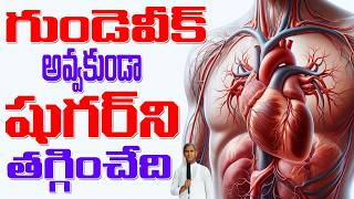 షుగర్ ఉన్నవారికి గుండె పదిలంగా ఉండాలంటే ? 🤩 Diabetes 🤩 Heart | Dr Manthena Satyanarayana Raju