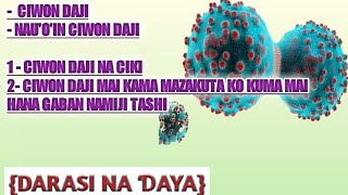 NAU'O'IN CIWON DAJI, CIWON DAJI NA CIKI DA KUMA MAI HANA TASHIN MAZAKUTA; (DARASI NA ƊAYA)