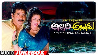 Allari Alludu Audio Songs Jukebox | Nagarjuna, Vanisri, Meena | MM Keeravani | Telugu Old Hit Songs