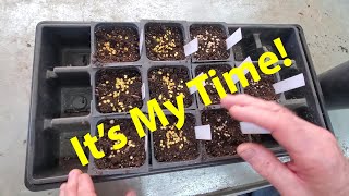 Starting Tomato And Pepper From Seed