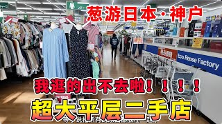 神户超大平层二手店根本逛不完啊！15000日元淘货大成功【葱游日本】