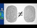 Why Are Your Fingerprints Unique?