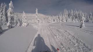 Hargita snowland,  Tour whit snowmobile.  #adventureclub