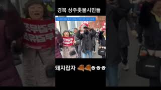 #돼지 잡자 상주 편 무슨 소리고 ㅎㅎ깜놀  #상주 촛불 시민 @tv-kq9wx