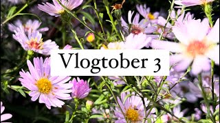 Vlogtober numéro 3 #vlogtober #vlogtober2024