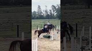 posting old vids for memories #fypシ゚ #eventing #equestrian