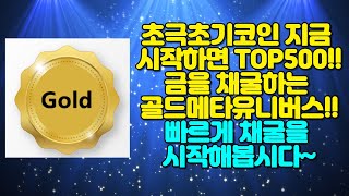 초극초기코인 지금시작하면 TOP500! 골드토큰메타~ 빠르게 선점합니다!! 금을 캡니다~~