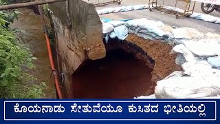 ಕೊಯನಾಡು ಸೇತುವೆಯೂ ಕುಸಿತದ ಭೀತಿಯಲ್ಲಿ | SUDDI NEWS SULLIA