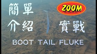 ZOOM 4吋T尾簡單介紹與實釣【ZOOM BOOT TAIL FLUKE】【路亞】【大嘴鱸魚】