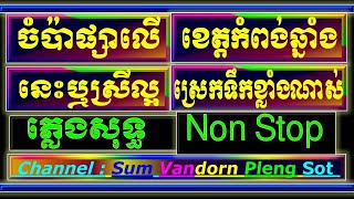 ចំប៉ាផ្សារលើ ភ្លេងសុទ្ធ, សំណៅកាកី ភ្លេងសុទ្ធ, នេះឬស្រីល្អ ភ្លេងសុទ្ធ cambodiakaraokecovernew version