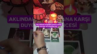 AKLINDAKİ KİŞİNİN SANA KARŞI DUYGU VE DÜŞÜNCESİ NE?#keşfet #tarot #tarotfalı