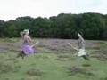 Flying Witches Spotted in New Forest