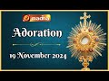 🔴 LIVE 19 November 2024 Adoration 11:00 AM | Madha TV